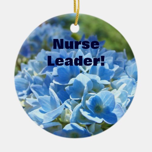 Nurse Leader gifts ornaments Youre the Greatest