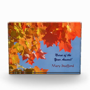 Nurse of the Year Award Plaque Sign Nursing Awards
