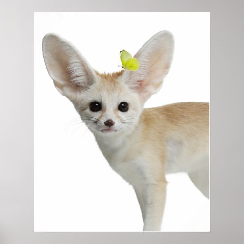 Nursery Wall Art Fennec Fox with Yellow Butterfly Poster