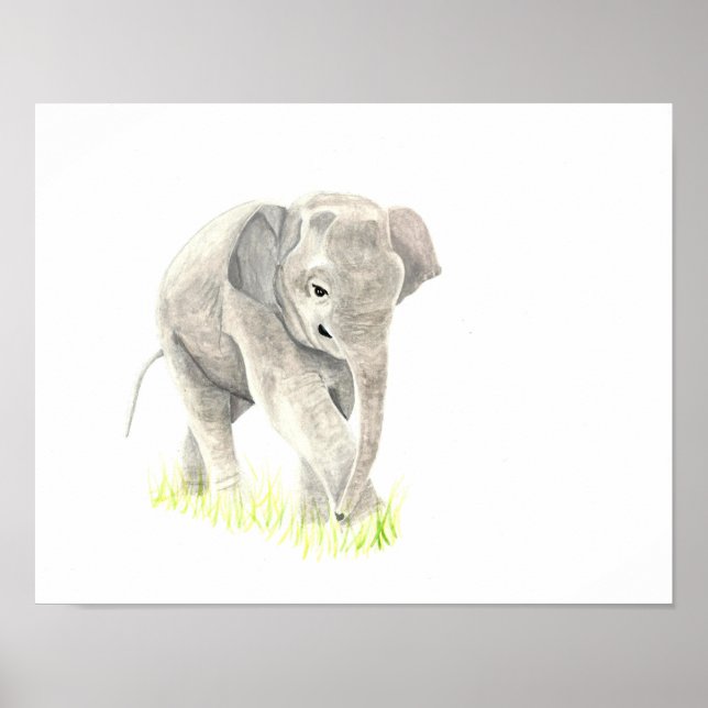 Nursery wall art safari animals (Front)