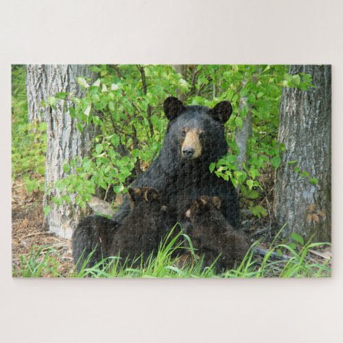 Nursing Black Bear and Twin Cubs Jigsaw Puzzle