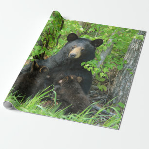 Nursing Black Bear and Twin Cubs Wrapping Paper