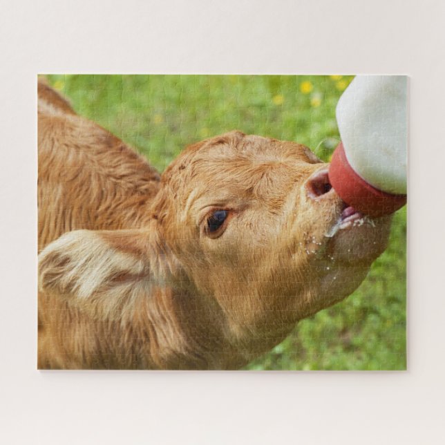 Nursing Bottle Baby Calf Jigsaw Puzzle (Horizontal)
