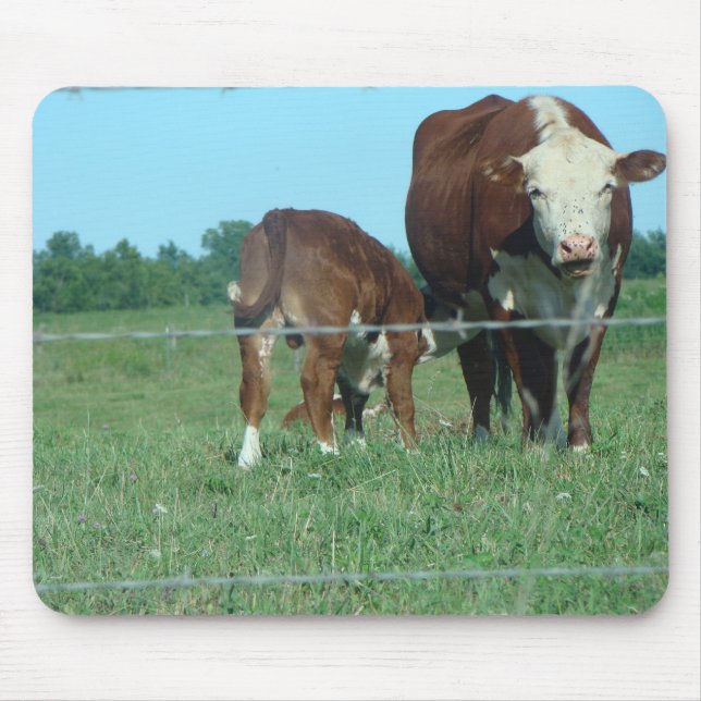 Nursing Calf Mouse Pad (Front)