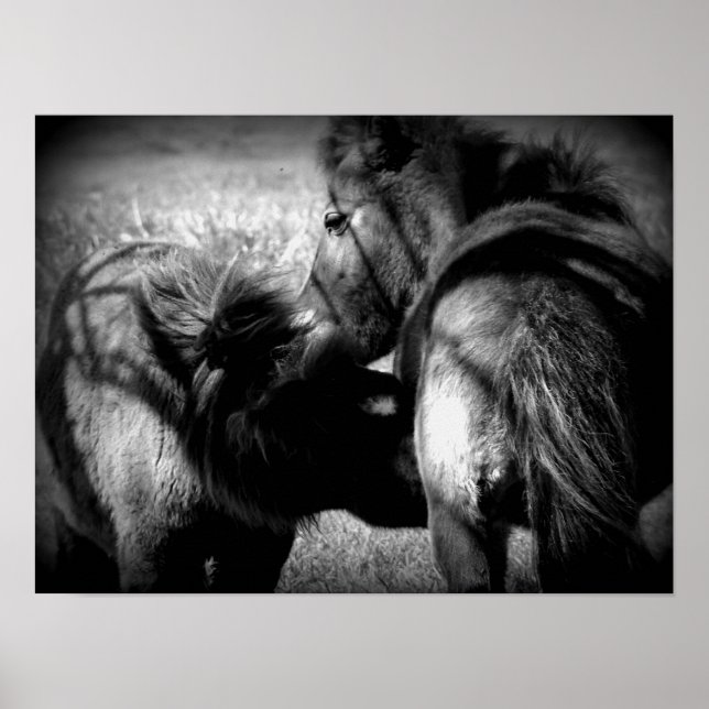 Nursing Filly Poster (Front)