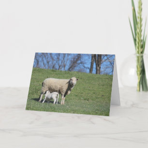 Nursing Lamb Card