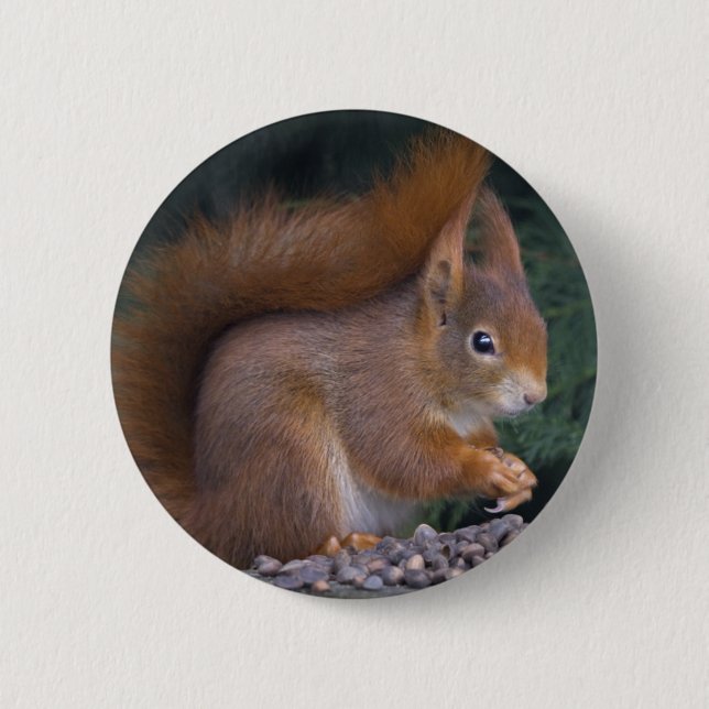 Nut Brunch Badge Pinback Button (Front)
