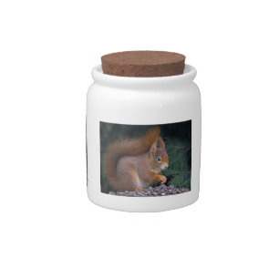 Nut Brunch Candy Jar