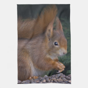 Nut Brunch Kitchen Towel