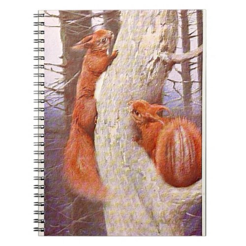 Nut Case Notebook