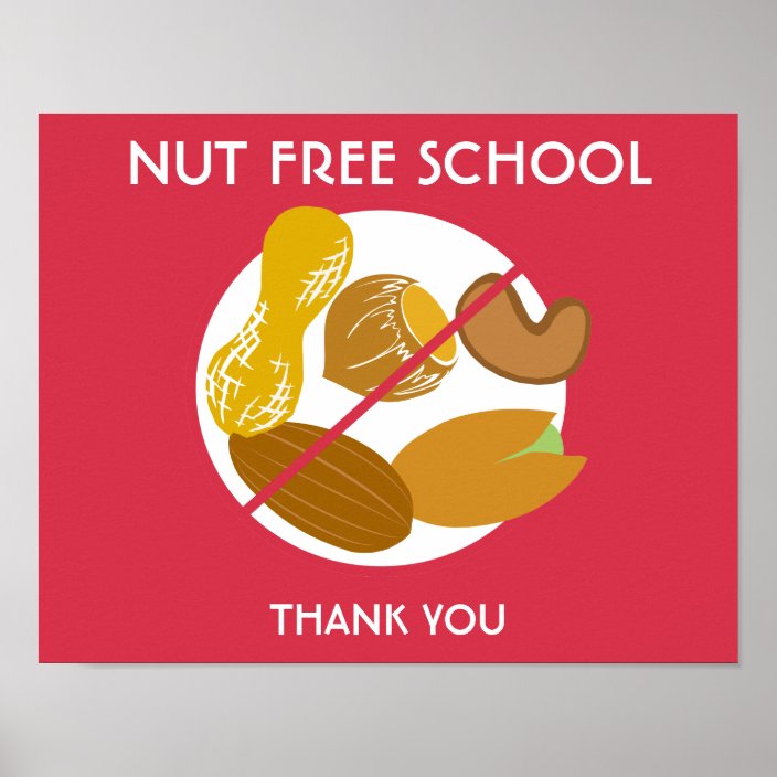 Nut Free School Sign for School or Daycare | Zazzle