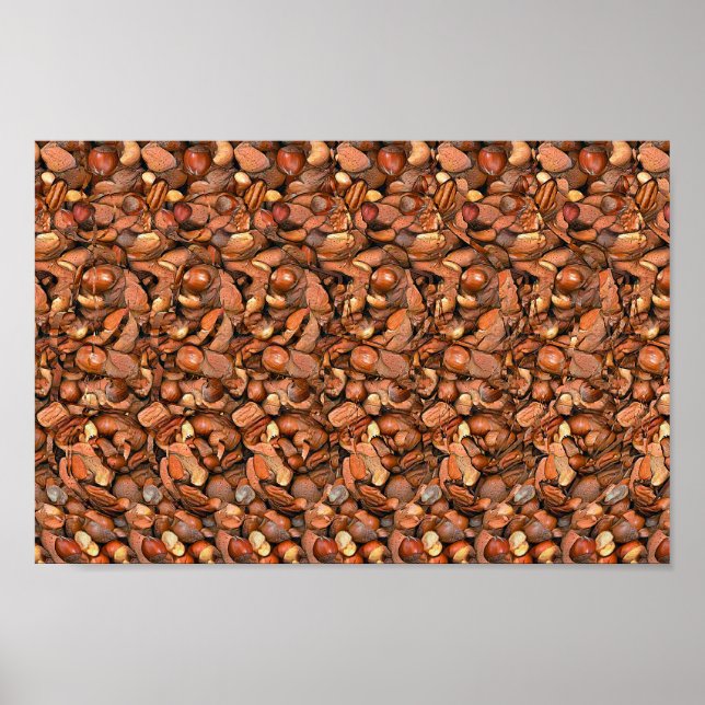 Nutcracker Squirrel - Hidden 3D print (Front)