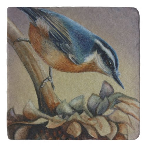 Nuthatch Bird and Sunflower Seeds Watercolor Art C Trivet