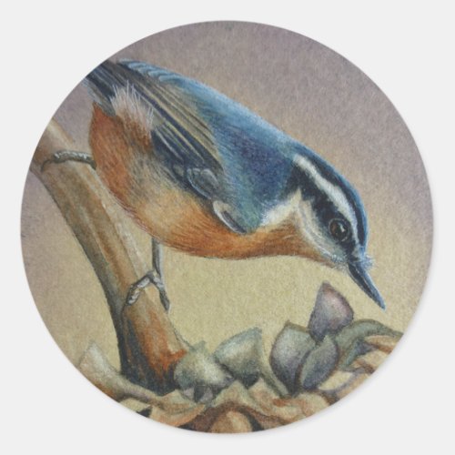 Nuthatch Bird and Sunflower Seeds Watercolor Art Classic Round Sticker