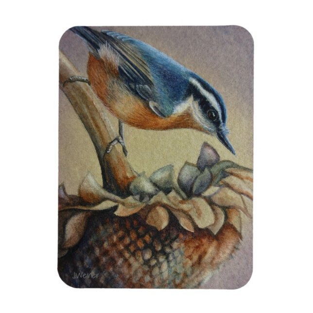 Nuthatch Bird and Sunflower Seeds Watercolor Art Magnet (Vertical)