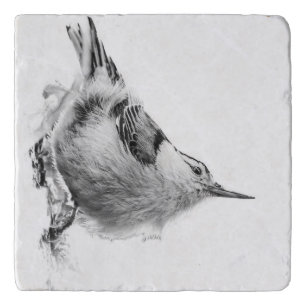 Nuthatch, Canadian Avian Photography Trivet