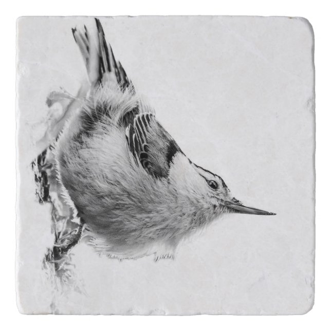 Nuthatch, Canadian Avian Photography Trivet (Front)