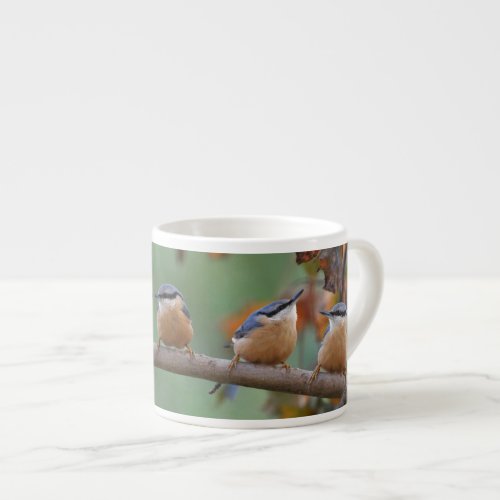 Nuthatch collage espresso cup