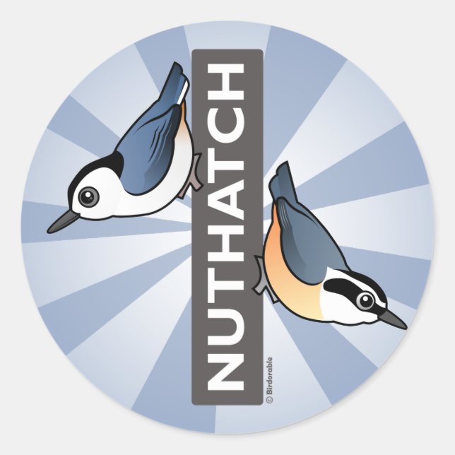 Nuthatch Fan Classic Round Sticker (Front)