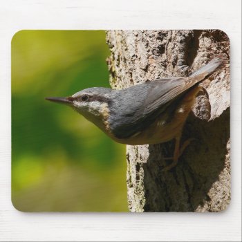 Nuthatch Mouse Pad by Welshpixels at Zazzle