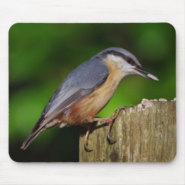Nuthatch Mousepad (Front)