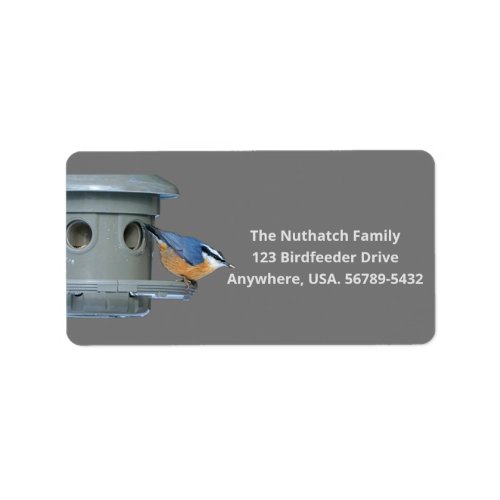 Nuthatch on Bird Feeder Address Label