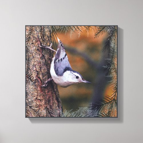 Nuthatch on Tree Fall Sunset Bird Photograph Canvas Print