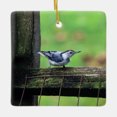 Nuthatch Ornament