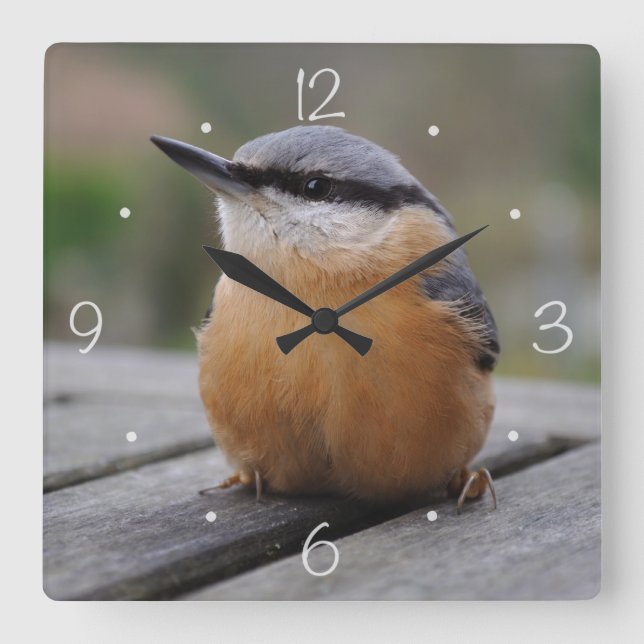 Nuthatch photo square wall clock (Front)