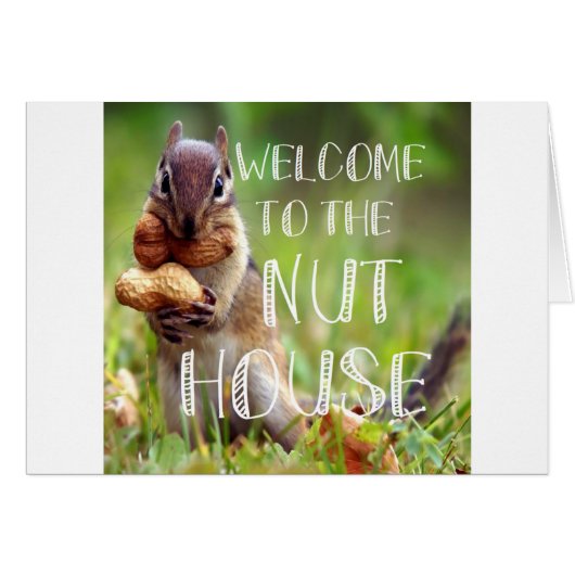 NUTHOUSE CARDS (Front Horizontal)
