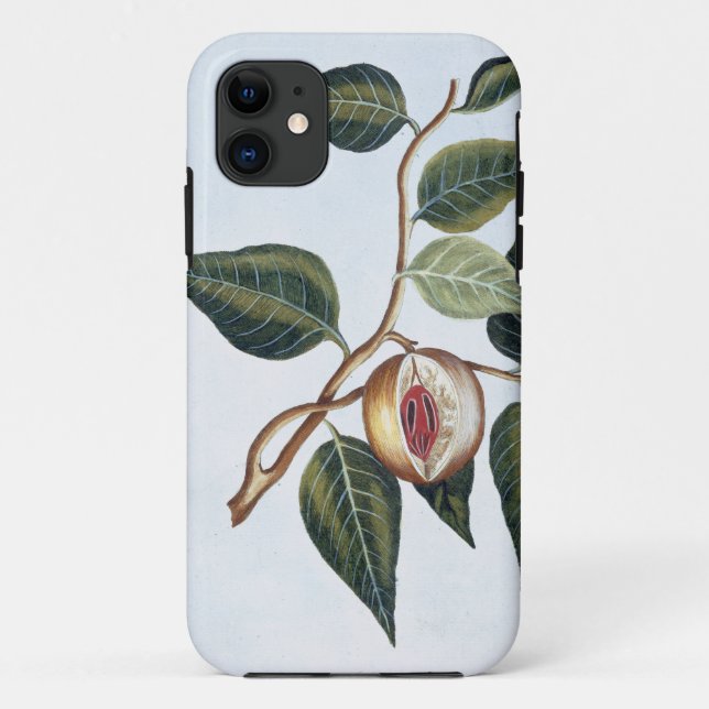 Nutmeg, plate 7, from 'Collection Precieuse et Enl Case-Mate iPhone Case (Back)