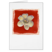 Nutmeg Shell & Red Flower (Front)