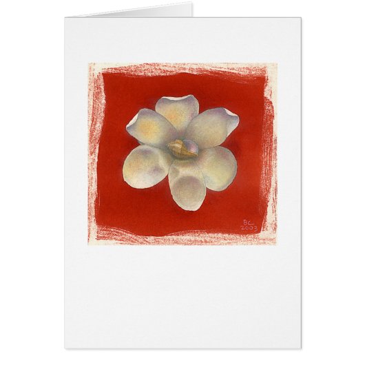 Nutmeg Shell & Red Flower (Front)
