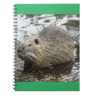 Nutria notebook