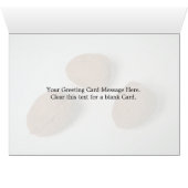 Nutritionous walnuts (Inside Horizontal (Bottom))