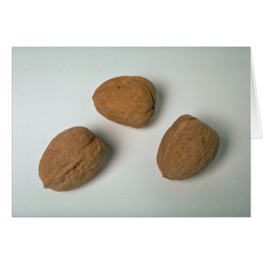 Nutritionous walnuts cards (Front Horizontal)