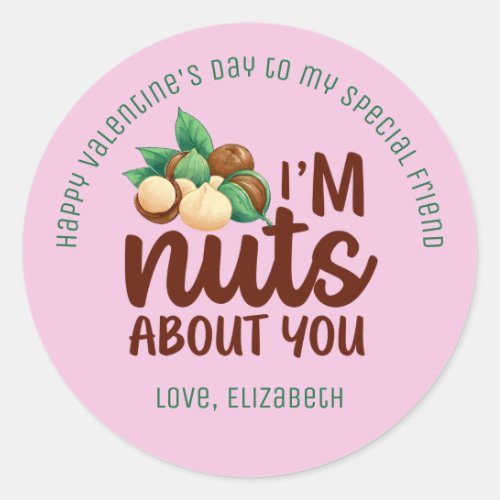 Nuts About You Funny Pun Cute Valentines Day Pink Classic Round Sticker
