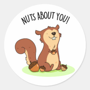 Nuts About You Funny Squirrel Pun Classic Round Sticker