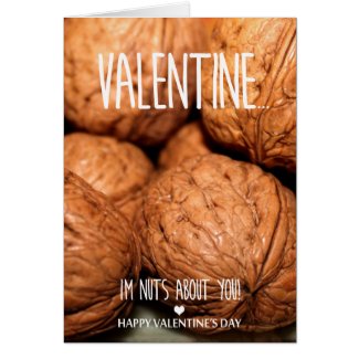 Nuts about you Valentine's Day Card