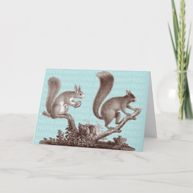 Nuts About You - Valentine's Day Card (Front)