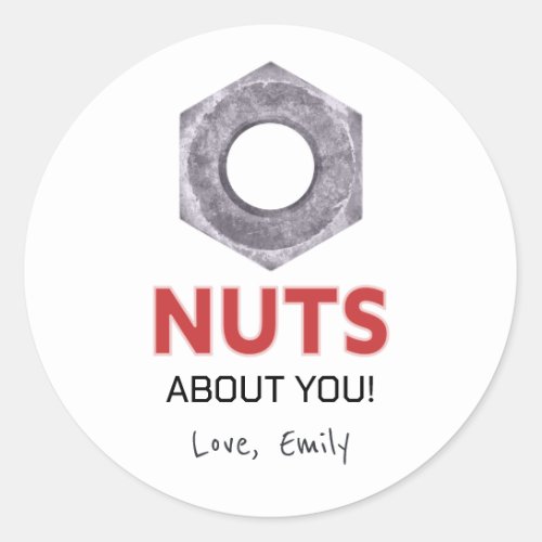 Nuts about you Valentines Day with bolt design Classic Round Sticker