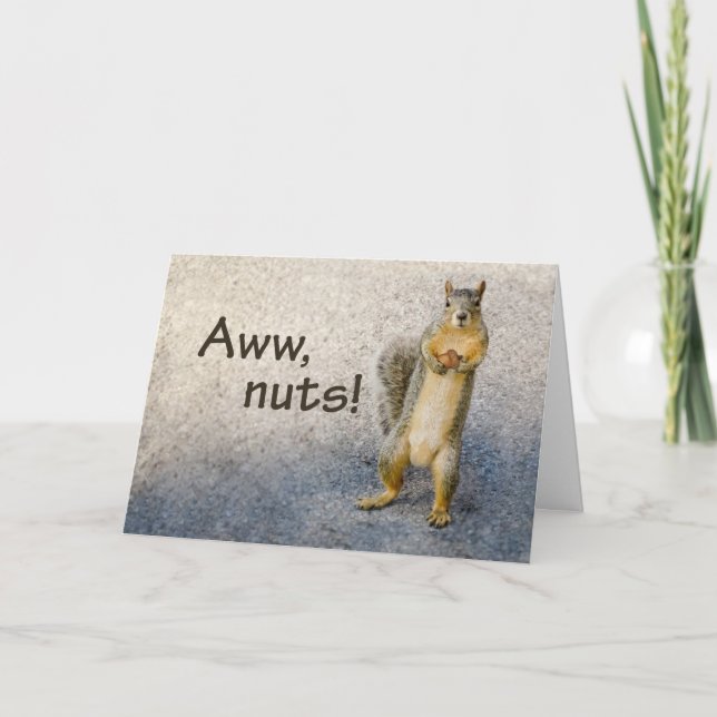 Nuts Belated Birthday with Funny Squirrel Card (Front)