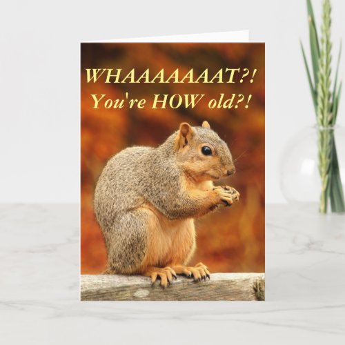 Nuts Funny Birthday Card