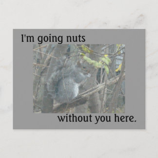 Nuts Without You Postcard