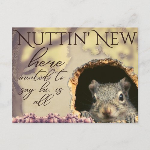 Nuttin New Squirrel Vintage_Style Postcards