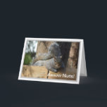 Nutty Birthday Squirrel Personalized Card<br><div class="desc">Cute Squirrel.  Inside message fully customizable.</div>