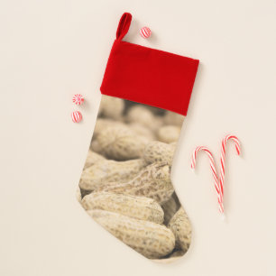 Nutty Christmas Stocking