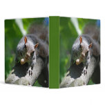 Nutty Squirrel Binder
