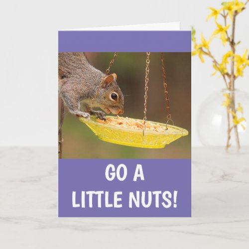 Nutty Squirrel Birthday Card