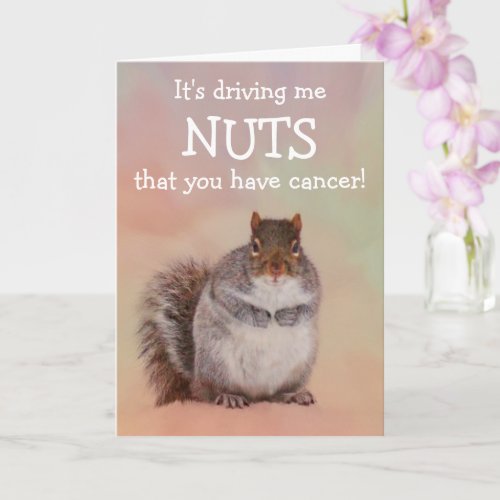 Nutty Squirrel Cancer Support Card